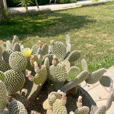 Гостевой дом Mara 3*